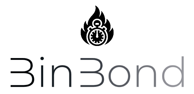 binbond logo